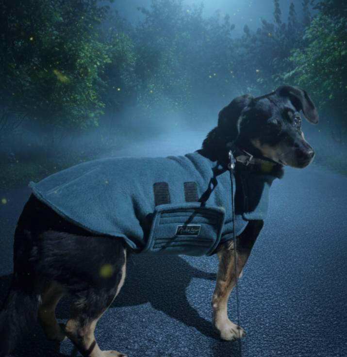 Pes v sivem plašču Cosy Whippet ponoči