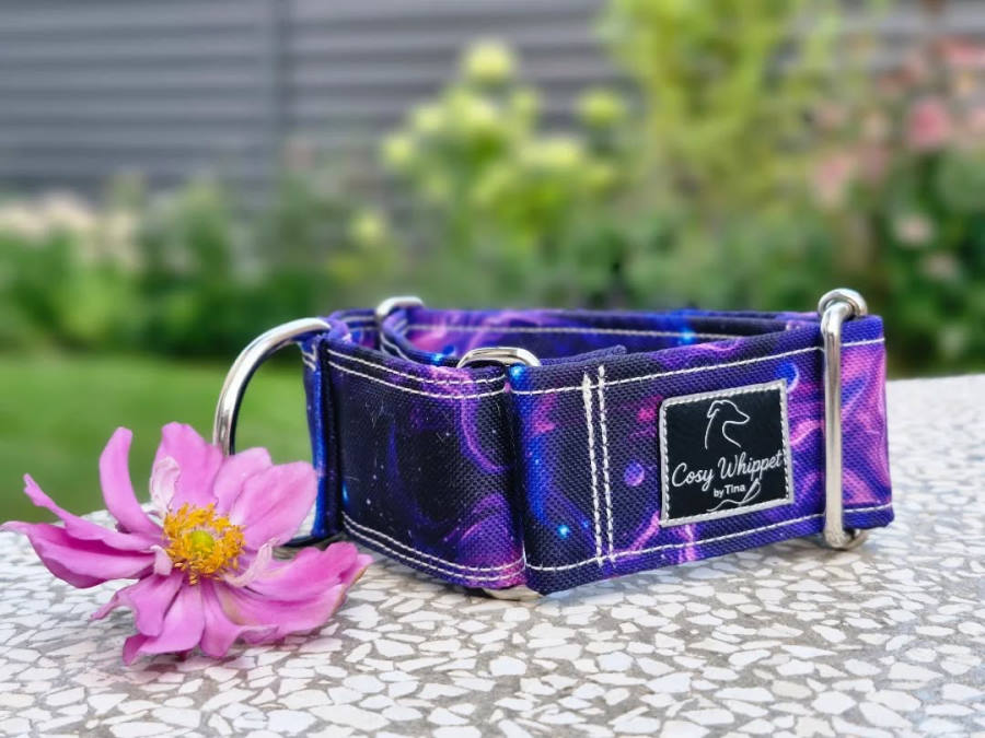 Martingalna ovratnica Cosy Whippet — galaktični motiv