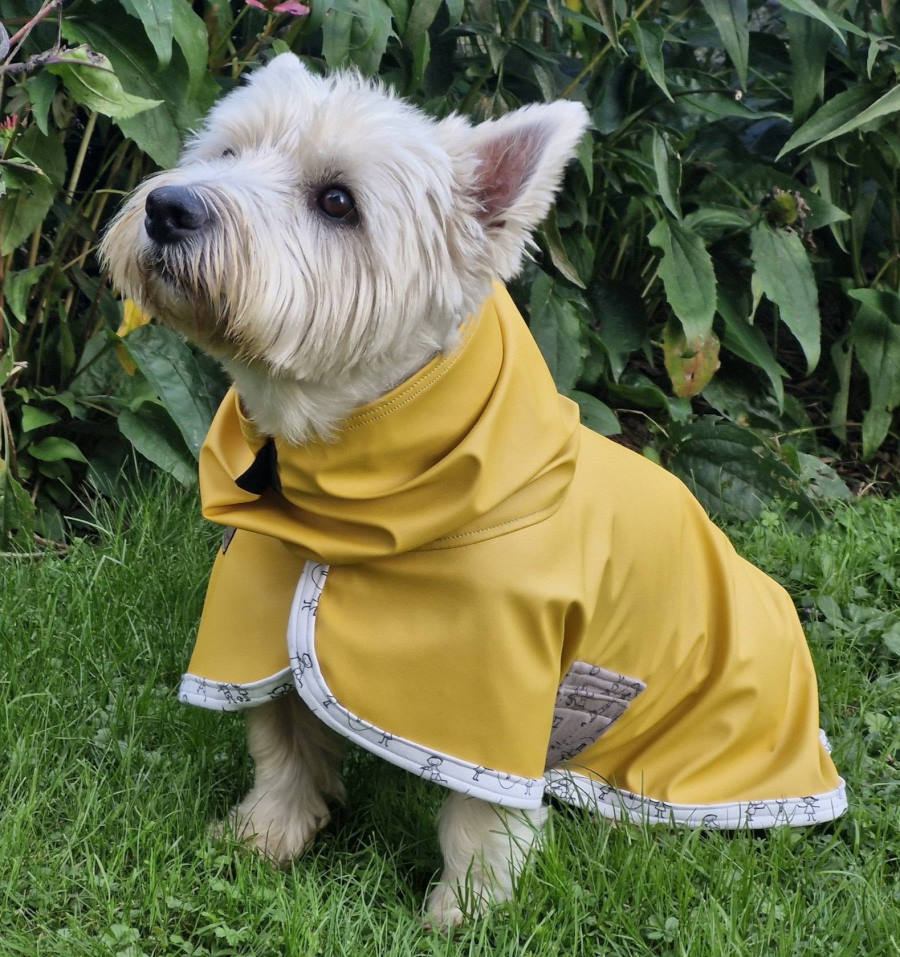 Mali pes v rumenem dežnem plašču Cosy Whippet