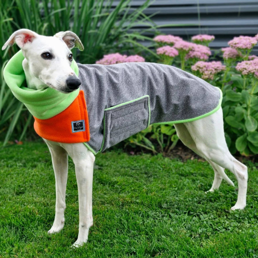 Whippet v oranžno-sivem plašču Cosy Whippet